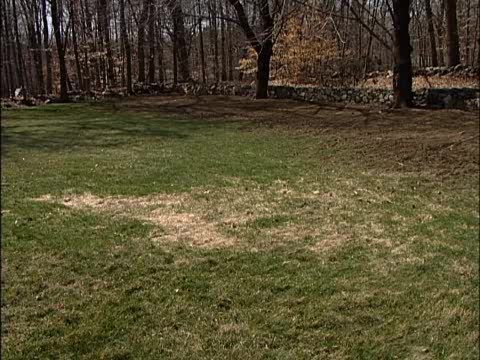 How to Over-seed Bare Spots in a Lawn