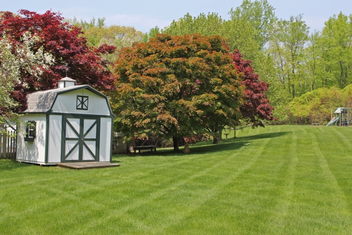 Green healthy lawn with shed