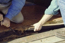 prying up dry-rotted wood exposed under the old threshold