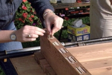 inserting biscuits in glued slots