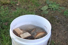 soaking wood pieces in water