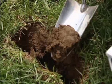 removing a soil sample