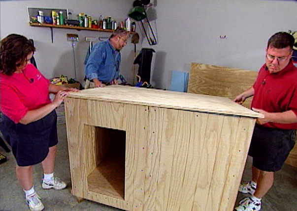 Build A Custom Insulated Dog House, How To Build A Dog Kennel In Your Garage