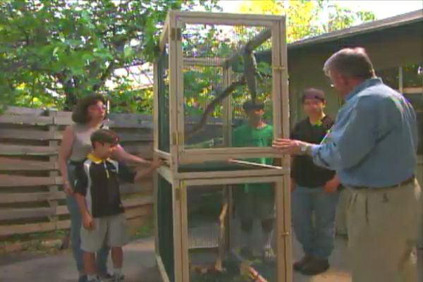 How to Build an    Iguana Cage â€¢ Ron Hazelton