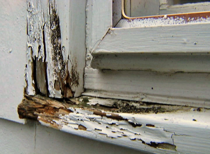 How to Remove and Repair Dry Rot in Wood • Ron Hazelton